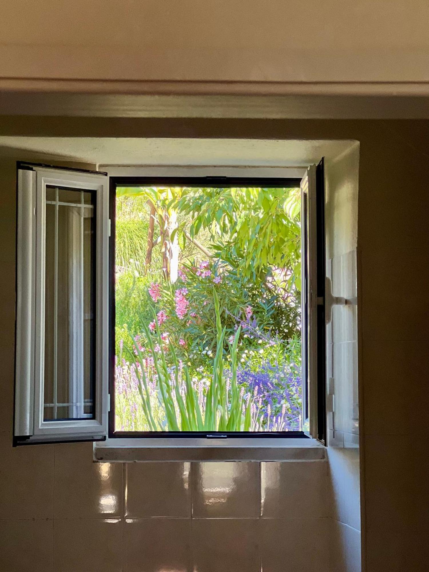 Manor Meeder Villa Castanheira de Pera Luaran gambar